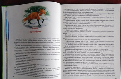 Чудесное путешествие Нильса с дикими гусями