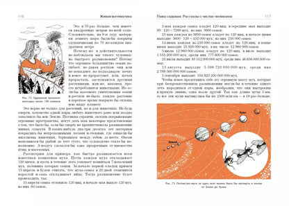Живая математика. Математические рассказы